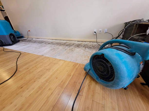 Professional Burst Pipe Water Damage technician working in Marshall, WI